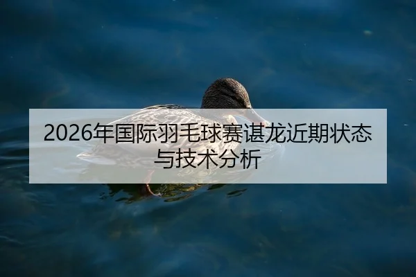 2026年国际羽毛球赛谌龙近期状态与技术分析