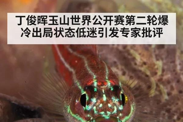 丁俊晖玉山世界公开赛第二轮爆冷出局状态低迷引发专家批评